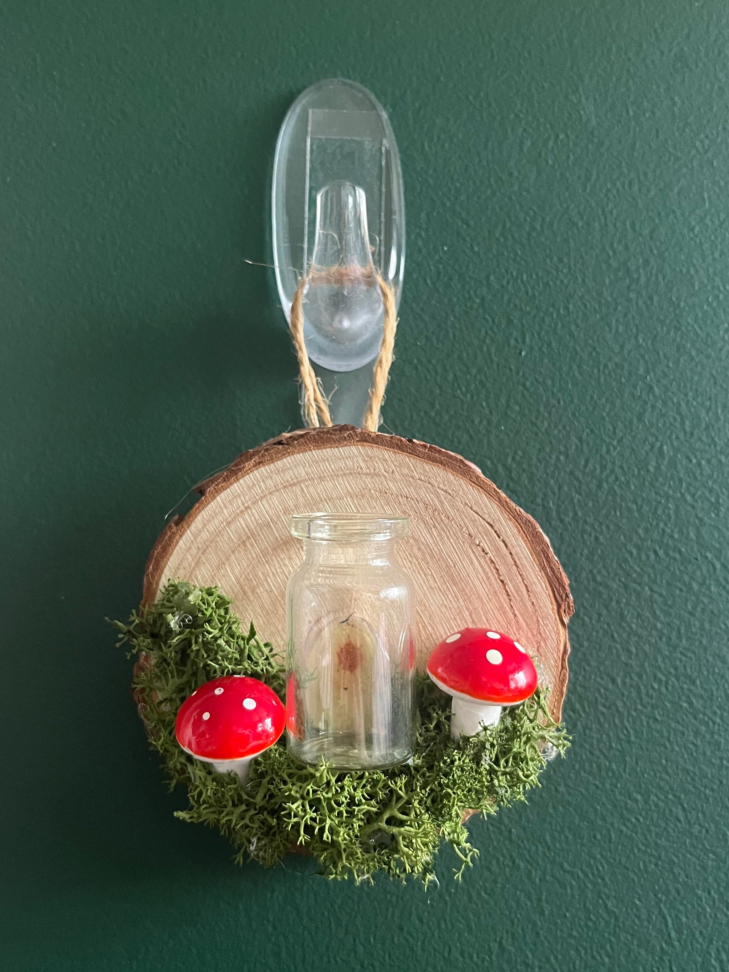 🍄Propagation Station🍄
