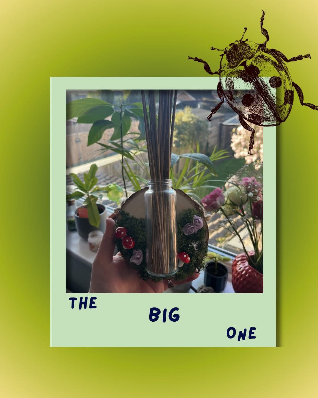 🌱THE BIG ONE🌱