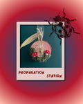 🍄Propagation Station🍄